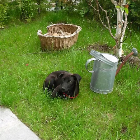In Mit Garten Διαμέρισμα Epinel