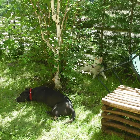 Διαμέρισμα In Mit Garten Epinel